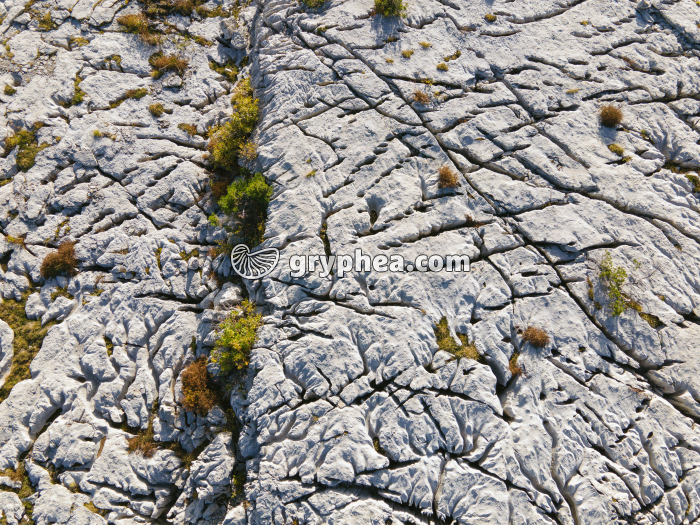Lapiaz - Parmelan (vue aérienne) - gryphea.com